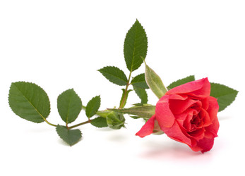 Similar image 2976712