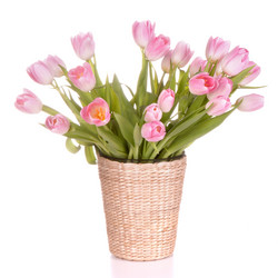 Similar image 2976721