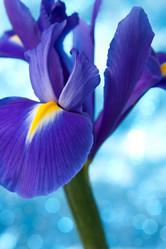 Similar image 2976735