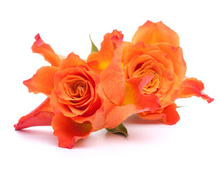 Similar image 2976829