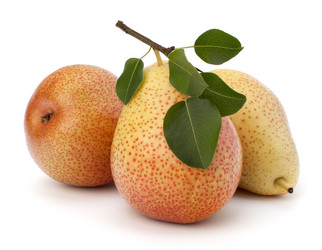 Similar image 2976831