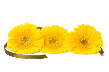 Similar image 2976841