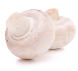 Similar image 2976844