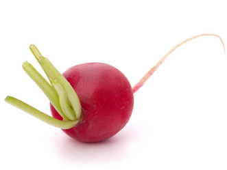 Similar image 2976845