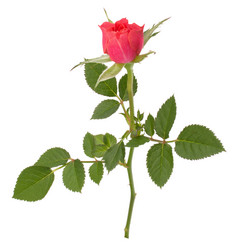 Similar image 2976850