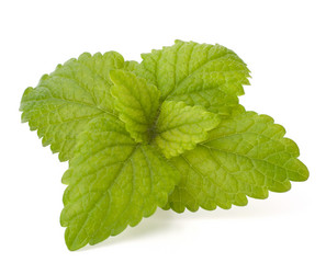 Similar image 2976863