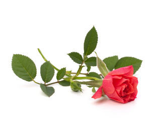 Similar image 2976864