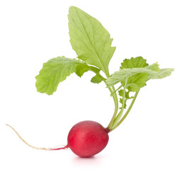 Similar image 2976866