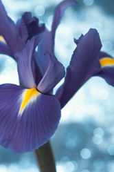 Similar image 2976878