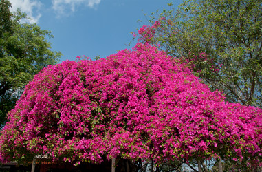 Similar image 2976900