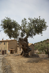 Similar image 2976922