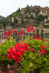 Similar image 2976923