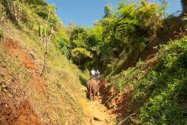 Similar image 2976924