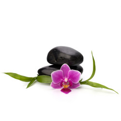 Similar image 2976977