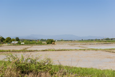 Similar image 2977004