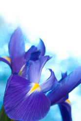 Similar image 2977014