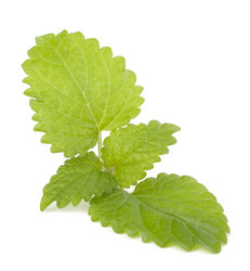 Similar image 2977020