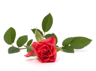 Similar image 2977022