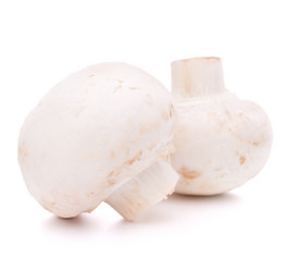 Similar image 2977035