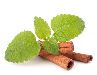 Similar image 2977094