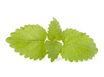 Similar image 2977096