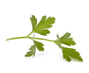 Similar image 2977115