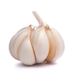 Similar image 2977150