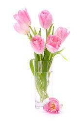 Similar image 2977162