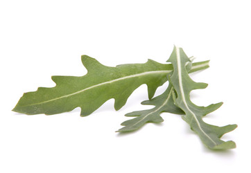 Similar image 2977163