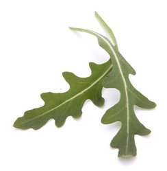 Similar image 2977193