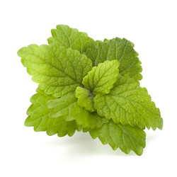 Similar image 2977203