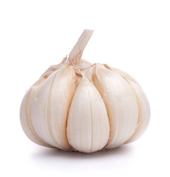 Similar image 2977207