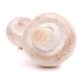 Similar image 2977224