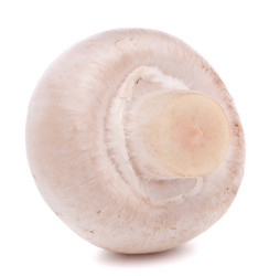 Similar image 2977232