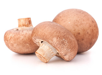 Similar image 2977236