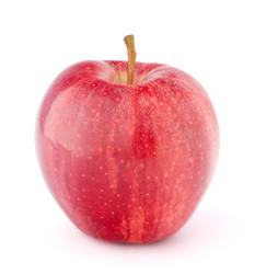 Similar image 2977254