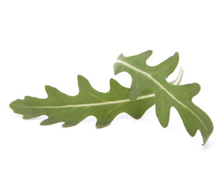 Similar image 2977290