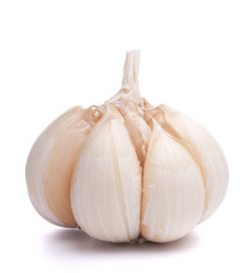 Similar image 2977309