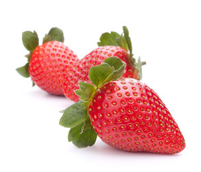 Similar image 2977317