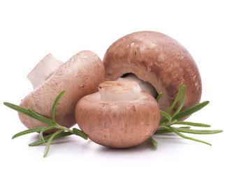 Similar image 2977325