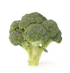 Similar image 2977329