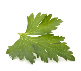 Similar image 2977339