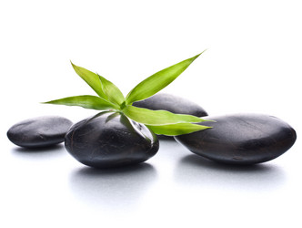 Similar image 2977342