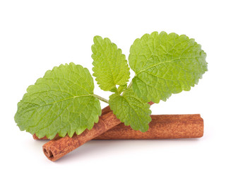 Similar image 2977357