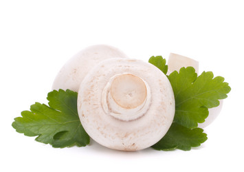 Similar image 2977363