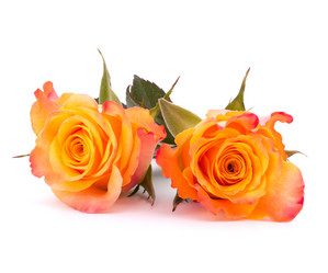 Similar image 2977372