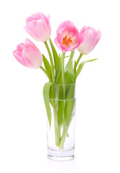 Similar image 2977380