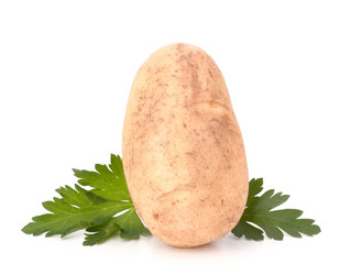 Similar image 2977381