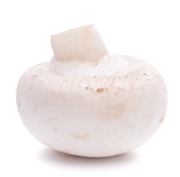 Similar image 2977406