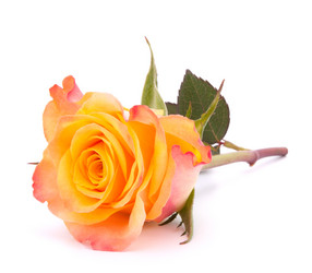 Similar image 2977415